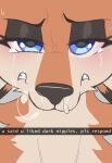 anthro biped blue_eyes bodily_fluids canid canine cooliehigh english_text female fox fur ginger_(cooliehigh) hi_res looking_at_viewer mammal orange_body orange_fur snot solo tears text