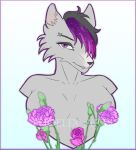 anthro breasts bust_portrait canid canine canis censored censored_nipples female hair hi_res mammal nude portrait purple_hair wolf