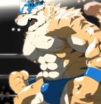  anthro bulge clothing felid kisukemk7 male mammal mask muscular muscular_male nipples pantherine tiger underwear wrestler 