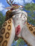 6_nipples andromorph andromorph_anthro animal_genitalia animal_vulva anthro antlers anus ashnu athletic athletic_andromorph athletic_anthro athletic_intersex belly_nipples big_clitoris brown_body brown_fur butt cervine_genitalia cervine_vulva clitoris clitoris_piercing deer ear_piercing felid fourchette_piercing fur genital_piercing genitals hair hi_res himeragoldtail hip_piercing horn humanoid_genitalia humanoid_vulva hybrid hybrid_genitalia hybrid_vulva inner_ear_fluff intersex intersex_anthro jewelry looking_at_viewer low-angle_view mammal multi_nipple navel navel_piercing nipple_piercing nipples nude orange_eyes pendant piercing pink_nipples pink_nose pink_vulva prehistoric_species presenting presenting_anus presenting_hindquarters presenting_vulva puffy_anus red_hair ring_piercing saber-toothed_tiger short_hair small_tail smile solo spread_vulva spreading tail teeth tuft urethra vulva vulva_piercing white_body white_fur