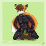  anthro bulge canid canine clothing drakethefox fox hi_res male mammal rubber rubber_clothing rubber_suit solo 