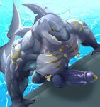 absurd_res anthro balls dylan_(alvintanubis) erection fin fish genitals hi_res humanoid_genitalia humanoid_penis male marine muscular muscular_anthro muscular_male partially_submerged penis shark solo tail teeth weskers