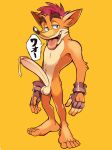  activision anthro bakedanooki balls bandicoot big_penis bodily_fluids clothing crash_bandicoot crash_bandicoot_(series) erection fingerless_gloves genitals gloves gloves_only handwear handwear_only hi_res humanoid_genitalia humanoid_penis male mammal marsupial mostly_nude penis solo tongue video_games 