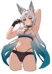  1girl absurdres alternate_costume animal_ear_fluff animal_ears arm_behind_head arm_up armpits artist_name beads black_gloves black_panties blue_eyes blue_hair blue_nails bra breasts cowboy_shot detached_collar eyeshadow feixiao_(honkai:_star_rail) fingernails forehead_jewel fox_ears fox_girl gloves gradient_hair hair_beads hair_ornament hand_up high_ponytail highres holding honkai:_star_rail honkai_(series) jewelry kuso_otoko long_fingernails long_hair looking_at_viewer makeup mandarin_collar medium_breasts multicolored_hair nail_polish navel necklace panties parted_bangs partially_fingerless_gloves ponytail red_eyeshadow red_ribbon ribbon sidelocks simple_background smile solo standing tassel tassel_hair_ornament teeth underwear white_background white_bra white_hair 