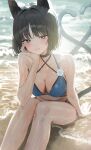  1girl absurdres animal_ears arm_support bare_legs beach bikini black_choker black_hair blue_archive blue_bikini blush breasts cat_ears cat_tail choker collarbone commentary_request damcheong feet_out_of_frame hand_on_own_cheek hand_on_own_face heart heart_tail highres kikyou_(blue_archive) kikyou_(swimsuit)_(blue_archive) looking_at_viewer medium_breasts multiple_tails navel no_halo official_alternate_costume outdoors short_hair sitting smile solo swimsuit tail 