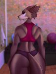  2022 anthro aozee athletic athletic_anthro athletic_female back_muscles beastars black_nose bra brown_body brown_fur butt canid canine canis clothed clothing digital_media_(artwork) female fur hi_res juno_(beastars) looking_at_viewer looking_back looking_back_at_viewer mammal panties solo sports_bra underwear wolf 