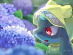  :d blurry buttons commentary_request flower from_side happy highres hood hood_up hydrangea open_mouth pokemon pokemon_(creature) raincoat red_eyes riolu smile solo sora_(sora610) tongue twitter_username 