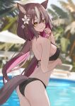  1girl absurdres animal_ear_fluff animal_ears ass bare_shoulders bikini black_bikini breasts brown_hair bunbun_(midukikome) chisaka_airi closed_mouth colored_inner_hair commission english_commentary flower from_side hair_flower hair_ornament hairclip hairpin halterneck highres long_hair looking_at_viewer medium_breasts multicolored_hair multiple_hairpins outdoors palm_leaf palm_tree phase_connect pink_hair pool poolside second-party_source smile solo standing swimsuit tail tree virtual_youtuber wolf_ears wolf_girl wolf_tail yellow_eyes 