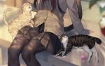  1girl animal ball black_hair black_pantyhose black_skirt blurry blurry_background blurry_foreground cardigan cat cat_tail commentary_request depth_of_field feet_out_of_frame grey_cardigan head_out_of_frame long_hair long_sleeves midorikawa_you neckerchief original pantyhose petting pleated_skirt red_neckerchief school_uniform sitting skirt sleeves_past_wrists solo tail veranda 