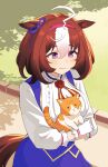  1girl ahoge animal_ears blue_dress blush breasts brown_hair cat closed_mouth commentary dress ear_ribbon english_commentary gloves hair_between_eyes hairband highres horse_ears horse_girl horse_tail large_breasts long_sleeves medium_hair meisho_doto_(umamusume) multicolored_hair nyaivie outdoors pink_hairband purple_eyes ribbon smile tail two-tone_hair umamusume white_dress white_gloves white_hair 