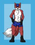  absurd_res anthro boxers_(clothing) bulge canid canine clothed clothing erection fur hair hi_res looking_at_viewer male mammal muscular muscular_male paxtonraze sabrinaaparicio simple_background smile smirk solo teasing underwear undressing 