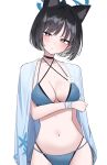  1girl :t absurdres animal_ears arm_under_breasts bikini black_bikini black_choker black_hair blue_archive blue_bikini breasts cat_ears choker cleavage colored_inner_hair cowboy_shot criss-cross_halter extra_ears grey_eyes halo halterneck head_tilt highres ichiki_1 kikyou_(blue_archive) kikyou_(swimsuit)_(blue_archive) layered_bikini medium_breasts multicolored_hair navel official_alternate_costume pout short_hair side-tie_bikini_bottom simple_background solo stomach string_bikini swimsuit wet white_background 