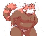 ailurid anthro belly blush briefs brown_body brown_fur butt clothing fur male mammal moobs navel overweight red_body red_fur red_panda simple_background solo takagi_kyou tighty_whities underwear undressing white_background white_briefs white_clothing white_underwear 