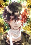  1boy absurdres brown_hair closed_mouth facing_viewer highres hizen_tadahiro leaf looking_to_the_side male_focus multicolored_hair red_eyes red_hair scarf short_hair solo touken_ranbu tree zasikirou 