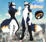  anthro apollo_(apollofoxxo) black_body black_ears black_fur black_nose blue_body blue_fur blue_tail blurred_background canid canine cheek_tuft chest_tuft claws crotch_tuft dipstick_tail elbow_tuft facial_tuft fangs featureless_crotch finger_claws fluffy fluffy_tail foot_tuft fox front_view fur glistening glistening_eyes hair inner_ear_fluff looking_aside male mammal markings messy_hair model_sheet neck_tuft open_mouth orange_body orange_eyeshadow orange_fur orange_tail pawpads princelykaden rear_view red_inner_ear red_pawpads short_hair shoulder_tuft smile solo standing tail_markings tuft white_body white_claws white_fur white_hair white_inner_ear_fluff white_tail 