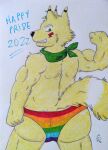  absurd_res anthro bandanna butt canid canine clothing dash_fox dashthefox fox hi_res kerchief lgbt_pride male mammal musclegut muscular pastels rainbow_pride_colors rear_view slightly_chubby smile solo traditional_media_(artwork) underwear 