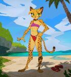 3_toes abs anthro bandeau beach bikini bikini_thong clothing collar detailed_background digital_drawing_(artwork) digital_media_(artwork) ear_piercing ear_ring facial_markings feet felid feline female full-length_portrait fur green_eyes hand_on_hip head_markings head_tuft long_tail looking_away mammal markings midriff mostly_nude pepper_(ruffu) piercing pointy_ears portrait ring_piercing ruffu single_strap_clothing smile solo spots spotted_body spotted_fur standing striped_markings stripes swimwear tail toes topwear tuft two-piece_swimsuit yellow_body yellow_fur