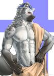 2025 abs absurd_res anthro areola arknights athletic athletic_anthro athletic_male blush ear_piercing eyebrow_piercing facial_piercing fur grey_body grey_fur hair hi_res hyena hypergryph looking_at_viewer male mammal markings multicolored_hair navel piercing pubes shy simple_background solo spot_(arknights) spots spotted_body spotted_fur spotted_hyena studio_montagne tail towel tuft two_tone_hair wet wet_body wet_fur wnhfduvnn7eo6be
