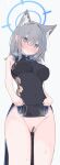  1girl absurdres animal_ear_fluff animal_ears bar_censor black_dress blue_archive blue_eyes breasts censored china_dress chinese_clothes commentary cross_hair_ornament dress extra_ears grey_hair hair_ornament halo highres mismatched_pupils nui_(nuinui0300) pussy pussy_juice shiroko_(blue_archive) solo variant_set wolf_ears 