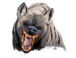 2022 ambiguous_gender bared_teeth black_nose black_stripes bodily_fluids brown_body brown_fur bust_portrait digital_drawing_(artwork) digital_media_(artwork) fangs feral fur hodarinundu hyena looking_at_viewer mammal open_mouth pachycrocuta portrait prehistoric_species red_eyes saliva signature simple_background snarling solo striped_body striped_fur stripes teeth tongue whiskers white_background yellow_teeth