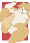  2022 anthro balls belly blush canid canine canis domestic_dog genitals hi_res humanoid_hands kemono male mammal moobs navel nipples one_eye_closed overweight overweight_male penis samodora1030 simple_background solo 