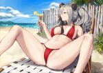  1girl absurdres animal_ears arknights beach beach_chair bikini black_hair blue_sky breasts closed_mouth cloud cocktail_glass cup day drinking_glass fang feater_(arknights) fence food fruit grey_hair highres holding holding_cup lemon lemon_slice lying medium_breasts multicolored_hair nashidrop navel on_back orange_eyes outdoors palm_tree panda_ears pussy pussy_peek red_bikini side-tie_bikini sky solo spread_legs stomach streaked_hair swimsuit thighs tree twintails 
