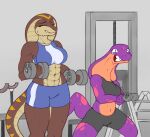  2022 abs anthro bodily_fluids bottomwear breasts clothing cobra duo exercise female gym hi_res keeshee long_neck muscular muscular_female reptile scalie shandi shorts simple_background snake snake_hood spots straining sweat training weightlifting weights wild_thunder06 workout 