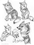  anthro black_and_white canid canine canis confusion coyote female j._c._amberlyn mammal monochrome multiple_poses one_eye_closed pose sketch_page smile smirk solo traditional_media_(artwork) wink 