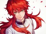  1boy aokamei closed_mouth eyelashes green_eyes highres kurama_(yu_yu_hakusho) long_hair long_sleeves looking_at_viewer male_focus petals red_hair rose_petals sidelocks smile solo upper_body white_background yu_yu_hakusho 