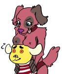 2024 absurd_res animal_crossing anthro benjamin_(animal_crossing) boob_hat breasts canid canine cherry_(animal_crossing) digital_media_(artwork) duo exposed_breasts female flustered fur hi_res looking_down male male/female mammal nintendo ponyblower red_body red_fur simple_background size_difference tail tongue tongue_out white_background yellow_body yellow_fur
