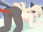  animal_ears blonde_hair cameltoe fang glasses hot_dog kurappii long_hair no_panties one_eye_closed pantyhose perrine_h_clostermann sexually_suggestive solo strike_witches tail top-down_bottom-up world_witches_series yellow_eyes 
