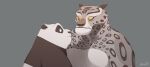 amuriart anthro bear black_body black_fur dreamworks duo felid fur giant_panda green_eyes grey_body grey_fur hi_res kung_fu_panda male male/male mammal master_po_ping pantherine simple_background smile snow_leopard staring_into_eyes surprise tai_lung_(kung_fu_panda) white_body white_fur