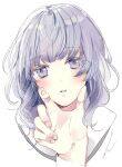  1girl blush cheek_squash grey_eyes grey_hair hand_on_another&#039;s_face highres long_hair looking_at_viewer norn9 out_of_frame parted_lips portrait pov pov_hands prin_dog purple_eyes purple_hair sailor_collar school_uniform serafuku shiranui_nanami simple_background solo_focus white_background white_sailor_collar 