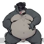  2022 anthro baloo belly big_belly bodily_fluids clothing front_view fur genital_fluids grey_body grey_fur hand_on_stomach haps hat hat_over_eyes headgear headwear hi_res jockstrap licking licking_lips male mammal moobs mostly_nude navel nipples open_mouth overweight overweight_male precum precum_through_clothing precum_through_underwear presenting_belly signature solo standing thick_thighs tongue tongue_out underwear ursid wet wet_clothing 