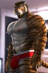  2022 abs anthro blue_eyes brown_hair bulge clothed clothing dream_and_nightmare facial_hair felid hair hi_res looking_at_viewer male mammal muscular muscular_anthro muscular_male night_(dream_and_nightmare) nipples pantherine pecs pubes red_clothing red_underwear solo tiger tiger_stripes underwear underwear_only 