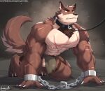  anthro canid canine chain clothed clothed/nude clothing collar kamyuelo male mammal muscular muscular_anthro muscular_male nipples nude scar solo 