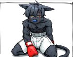  0onooo66 anthro bodily_fluids bottomwear boxing_gloves clothing domestic_cat drooling felid feline felis handwear male mammal mouth_guard saliva shorts solo sweat tears 