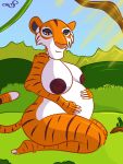  anthro breasts colty8 felid female hi_res mammal pantherine pregnant shere_khan solo tiger 
