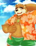  2022 absurd_res anthro belly black_nose blush bottomwear clothed clothing cloud hi_res humanoid_hands jinastray kemono lifewonders male mammal navel one_eye_closed open_clothing open_shirt open_topwear outside overweight overweight_male shirt shorts solo tokyo_afterschool_summoners topwear ursid video_games volos wink 