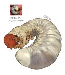  2022 absurd_res antennae_(anatomy) anthro arthropod brown_hair english_text female grey_eyes grub_(insect) hair hi_res insect korean_text larva nightmare_fuel signature simple_background solo sparrowl text what_has_science_done white_background white_body 