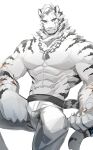  1boy abs absurdres animal_ears arknights bara come_hither dog_tags feet_out_of_frame furry furry_male half-closed_eyes highres large_pectorals looking_at_viewer male_focus mountain_(arknights) muscular muscular_male navel nipples no_nipples outstretched_hand pants pectorals reaching_out scar scar_across_eye scar_on_face seductive_smile shabi96522 short_hair sitting smile solo stomach thick_eyebrows tiger_boy tiger_ears topless_male unfinished white_background white_fur white_hair white_pants 