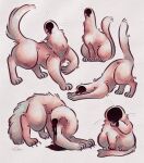 animal animal_focus commentary_request creature creature_focus grey_background highres multiple_views no_humans original oto_animal pink_fur pink_tail simple_background sitting slime_(substance) solo tail whiskers 