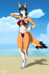  anthro beach bikini canid canine clothing female fennec fox hi_res jewelry mammal sand sanura seaside sigmadrake solo solo_focus swimwear 