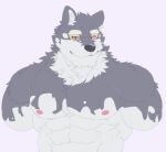  abs absurd_res anthro canid canine canis domestic_dog hi_res husky lifewonders live-a-hero male mammal meimei_kia monomasa muscular muscular_anthro muscular_male nipples nordic_sled_dog pecs shirtless solo spitz video_games 