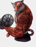  anthro exercise felid fur looking_at_viewer male mammal muscular orange_body orange_fur pantherine solo tiger veiny_muscles weightlifting workout yagi_b._(artist) 