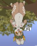 absurd_res anthro antlers areola atlyss belly_tuft blurred_background breasts brown_body brown_fur buckteeth cheek_tuft chest_tuft colored day dialogue digital_media_(artwork) dipstick_tail facial_tuft feet female flat_colors foxboy83 full-length_portrait fur genitals gloves_(marking) green_hair hair hanging_from_branch hi_res horn inner_ear_fluff innie_vulva isamore_(primonyr) lagomorph leporid mammal markings medium_breasts multicolored_body multicolored_fur navel nipples nude open_mouth outer_labia outside plant poon_(atlyss) portrait rabbit short_hair short_tail slightly_chubby solo speech_bubble tail tail_markings tan_body tan_fur teeth toeless_(marking) tree tuft two_tone_body two_tone_fur upside_down vulva yellow_eyes