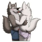  2022 absurd_res alpha_channel anthro ball_bulge blue_boxers blue_clothing blue_underwear blush bodily_fluids boxers_(clothing) briefs canid canine canis claws clothed clothing disney duo erection eyes_closed fluffy fur gary_(zootopia) genitals grey_body grey_fur hand_in_pants hi_res holding_another huffaromas kissing label larry_(zootopia) male male/male mammal multicolored_body multicolored_fur musk musk_clouds penis pink_briefs pink_clothing pink_underwear poking_out raised_tail simple_background smile sniffur sweat sweatdrop tongue transparent_background underwear underwear_only whisker_spots white_body white_fur wolf zootopia 