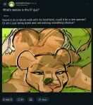 2026 absurd_res animalympics anthro arthropod ass_up beetle black_eyes bodily_fluids bovid butt butt_from_the_front canon_couple caprine doggystyle duo english_text felid feline female from_behind_position front_view goat grass green_sclera hand_on_butt hand_print hi_res insect jefferystrange kit_mambo kneeling kneeling_on_ground leapfrog_position lion low-angle_view lying lying_on_grass male male/female mammal motion_lines nude on_front on_grass on_ground online pantherine plant raised_tail reddit reddit_logo rene_fromage screencap selfie selfie_during_intercourse sex shadow spank_marks spank_marks_on_ass sweat tail text under_shade