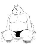  2022 anthro belly big_belly blush bulge canid canine canis clothing domestic_dog humanoid_hands kemono male mammal moobs navel nipples overweight overweight_male sitting solo swimwear tabo_bear tongue tongue_out water 