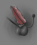 absurd_res accessory animal_genitalia animal_penis canid canine canine_genitalia canine_penis canis catheter cock_ring foley_catheter genitals hi_res internal jewelry kiba_kurokage knot knotted_penis leash loonertick male mammal medical_instrument mythological_canine mythological_creature mythology parasite penetration penis penis_accessory penis_jewelry scientific_instrument sheath simple_background solo urethra urethral urethral_penetration werecanid werecanine werecreature werewolf wolf 